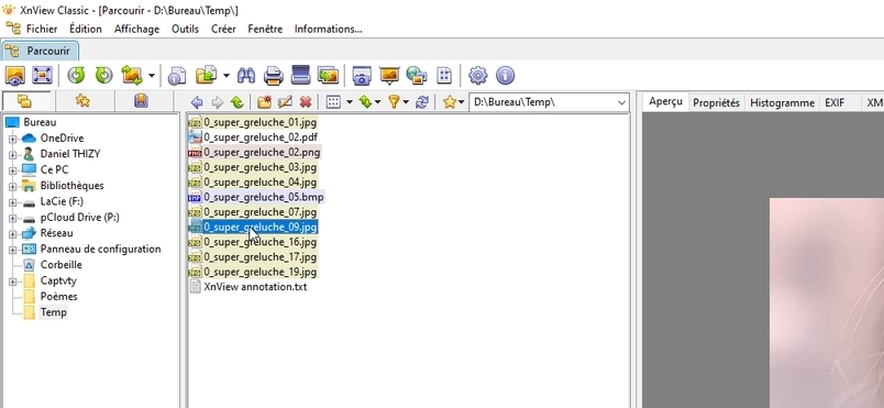 XnView-annotation-Photo-01