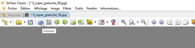 XnView-annotation-Photo-06