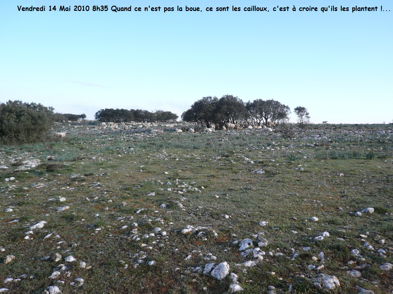 2010.0514.0835.38.Etape 12