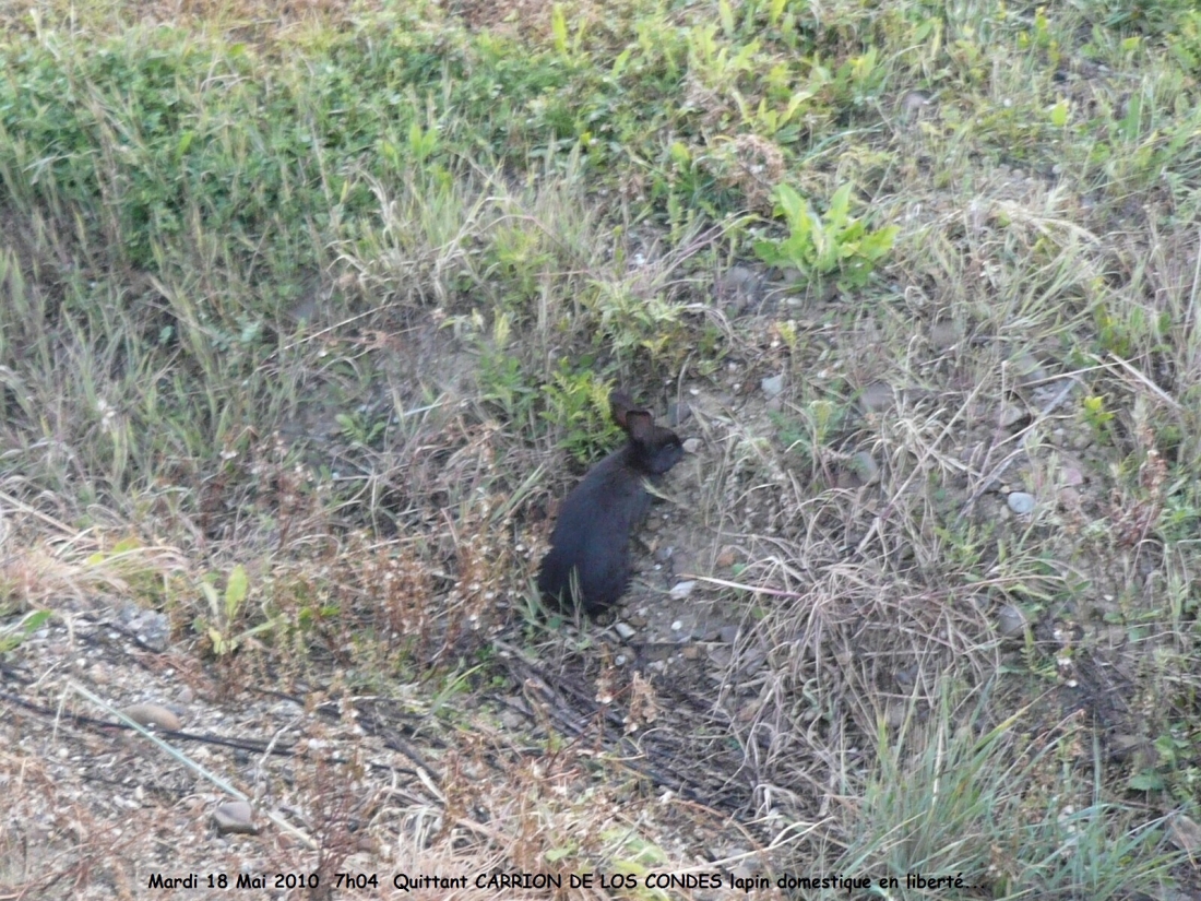 2010.0518.0704.59.Etape 16