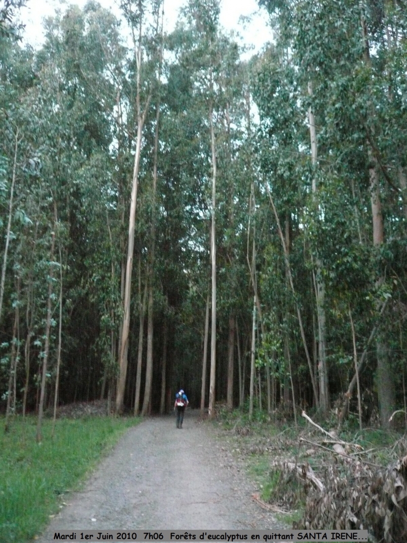 2010.0601.0703.03.Etape 30