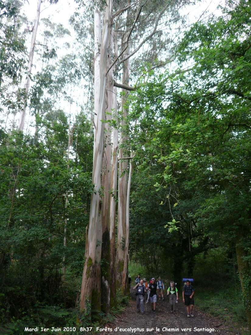 2010.0601.0837.01.Etape 30