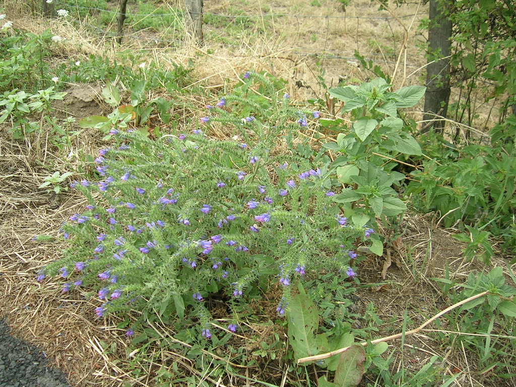 2005.0802.1429.00.Etape 02