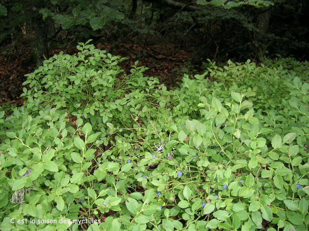 2005.0803.1016.46.Etape 03