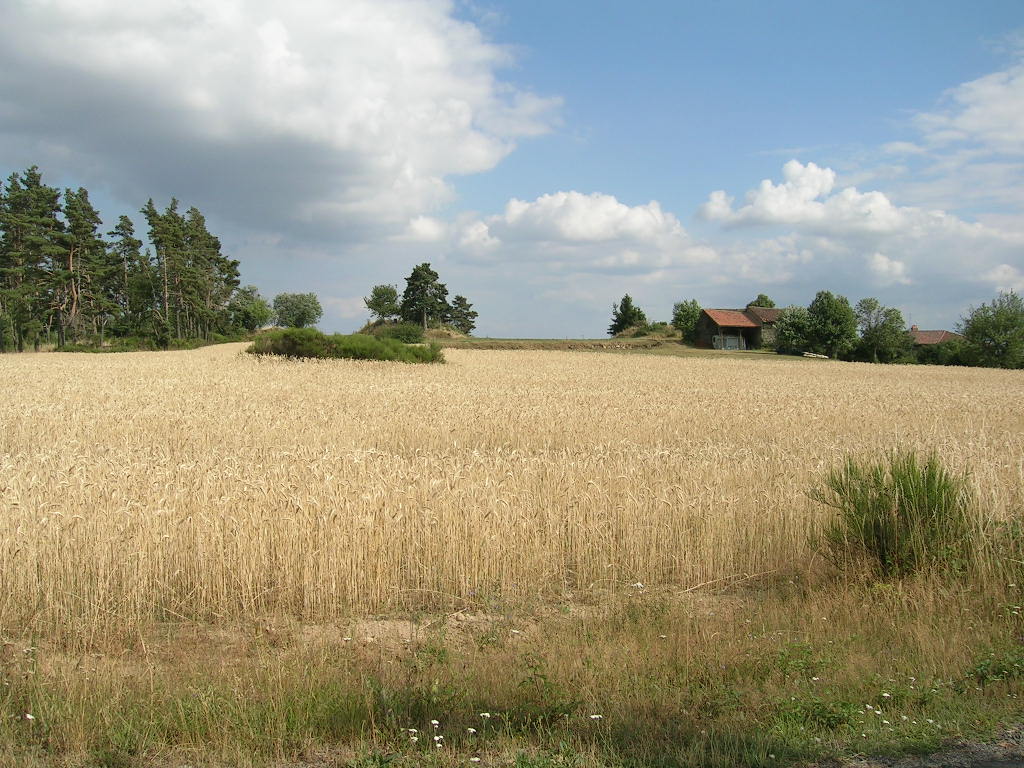 2005.0803.1609.42.Etape 03