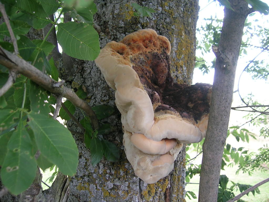 2005.0804.0939.14.Etape 04