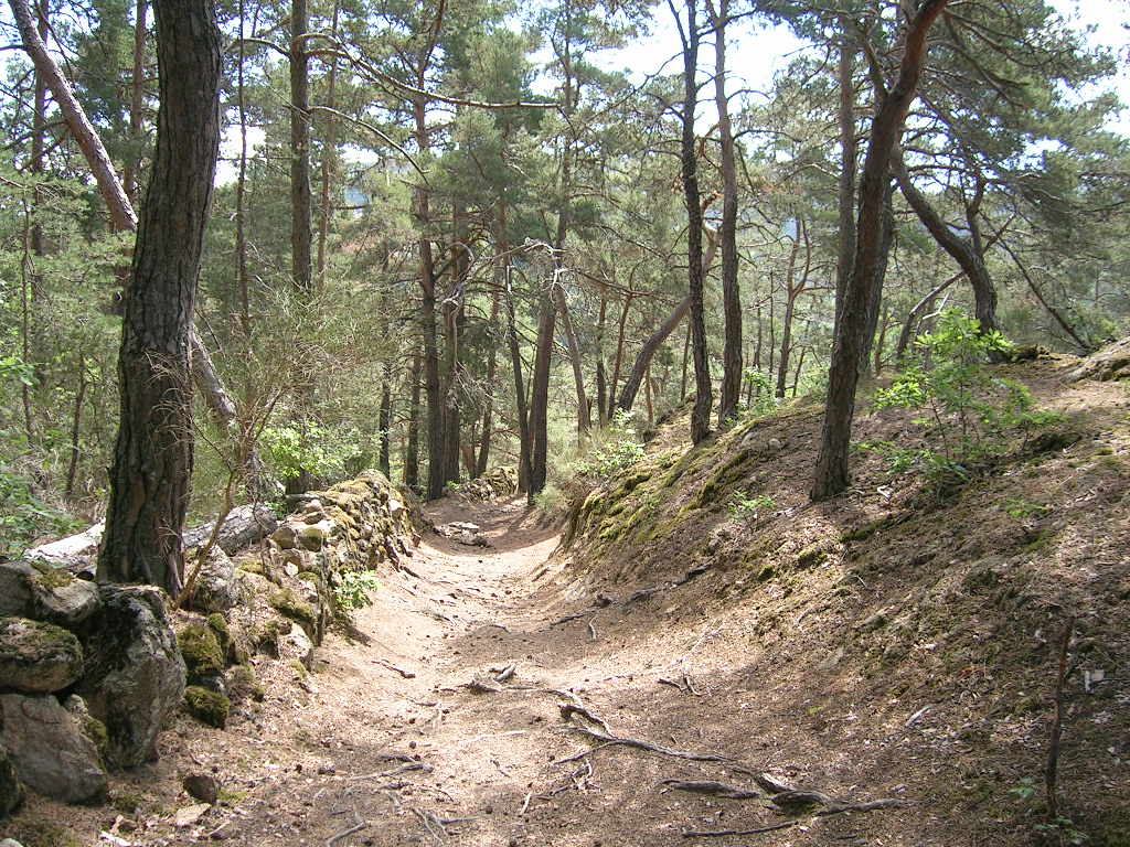 2005.0804.1136.20.Etape 04