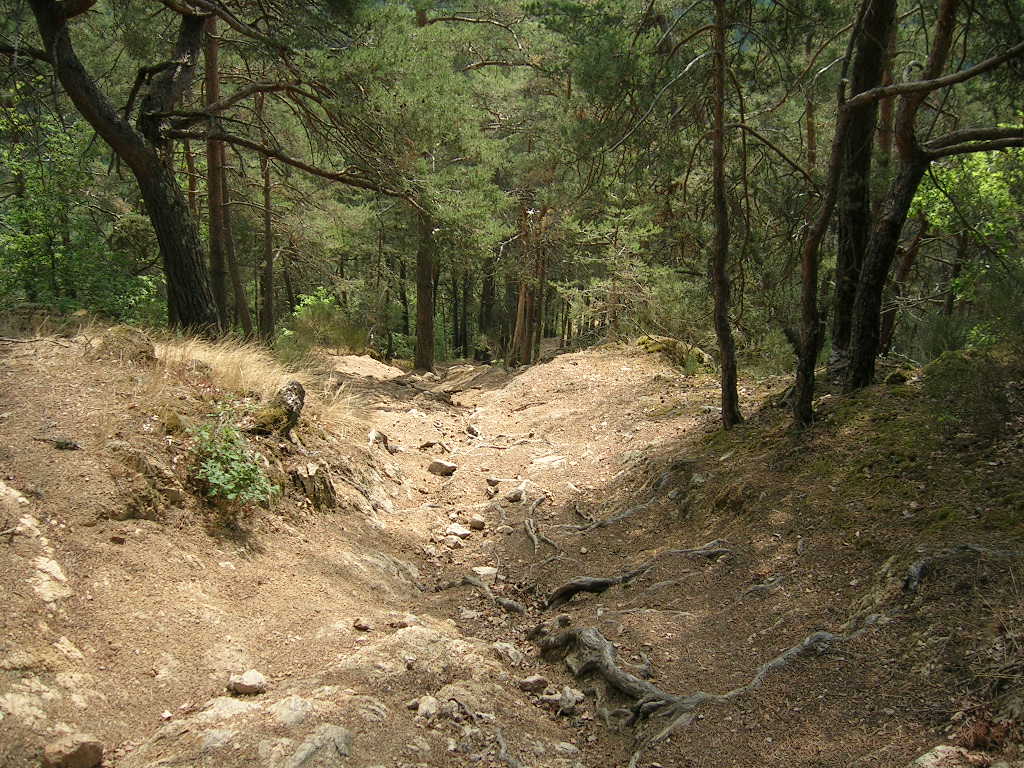 2005.0804.1137.26.Etape 04