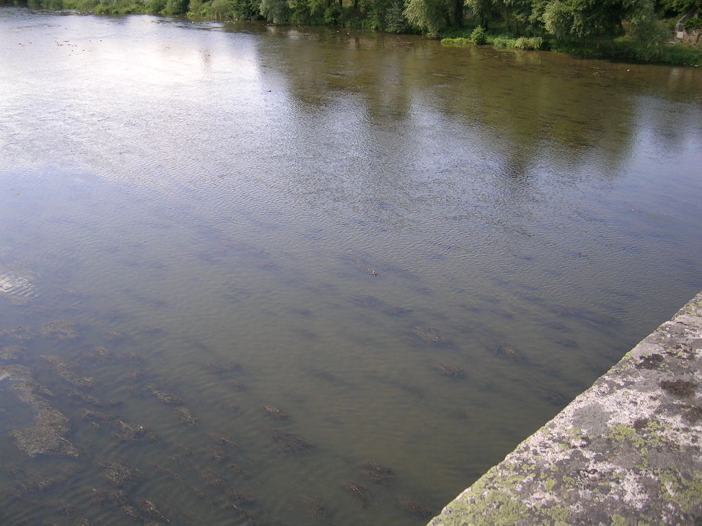 2005.0804.1517.38.Etape 04