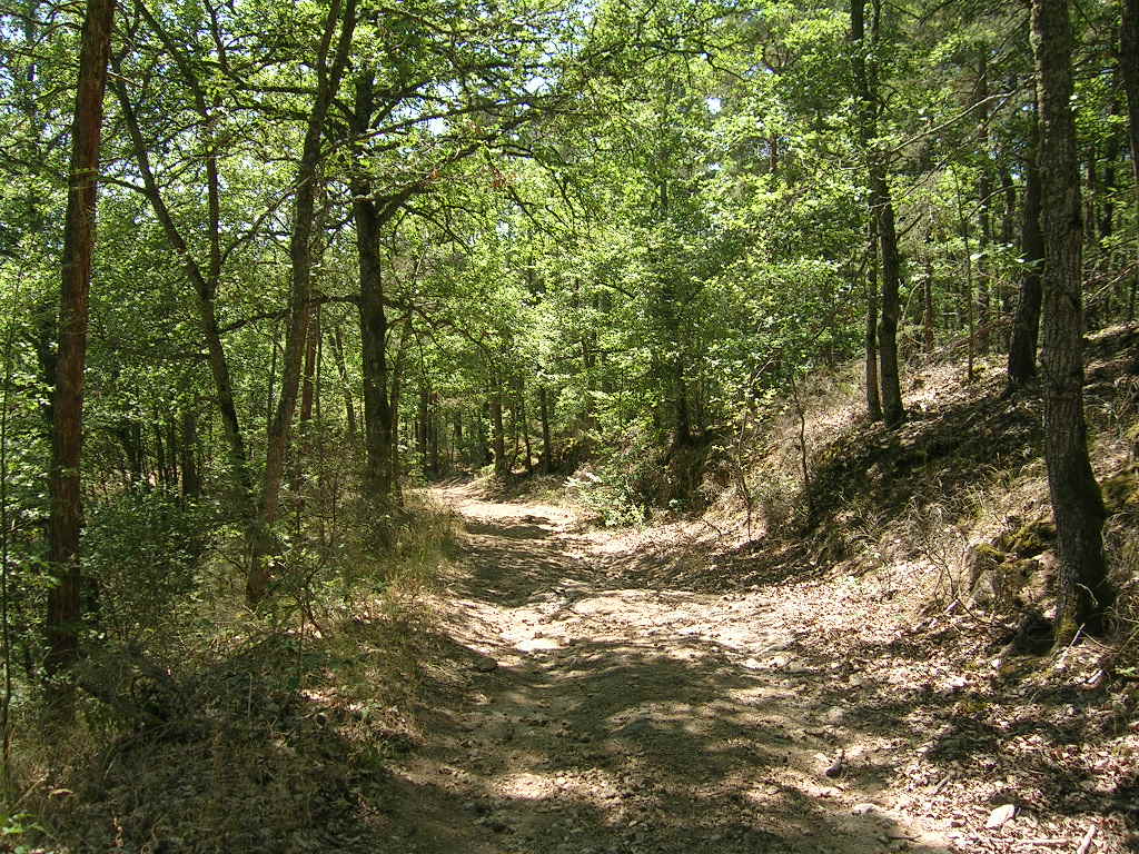 2005.0805.1338.20.Etape 05