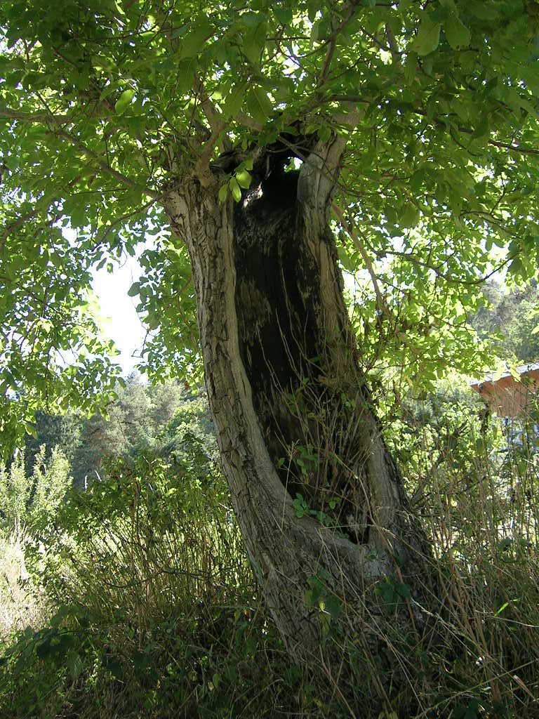 2005.0805.1433.42.Etape 05