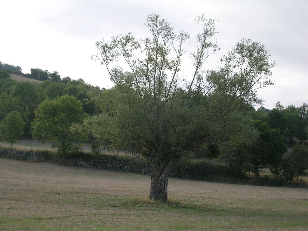 2005.0806.0737.42.Etape 06