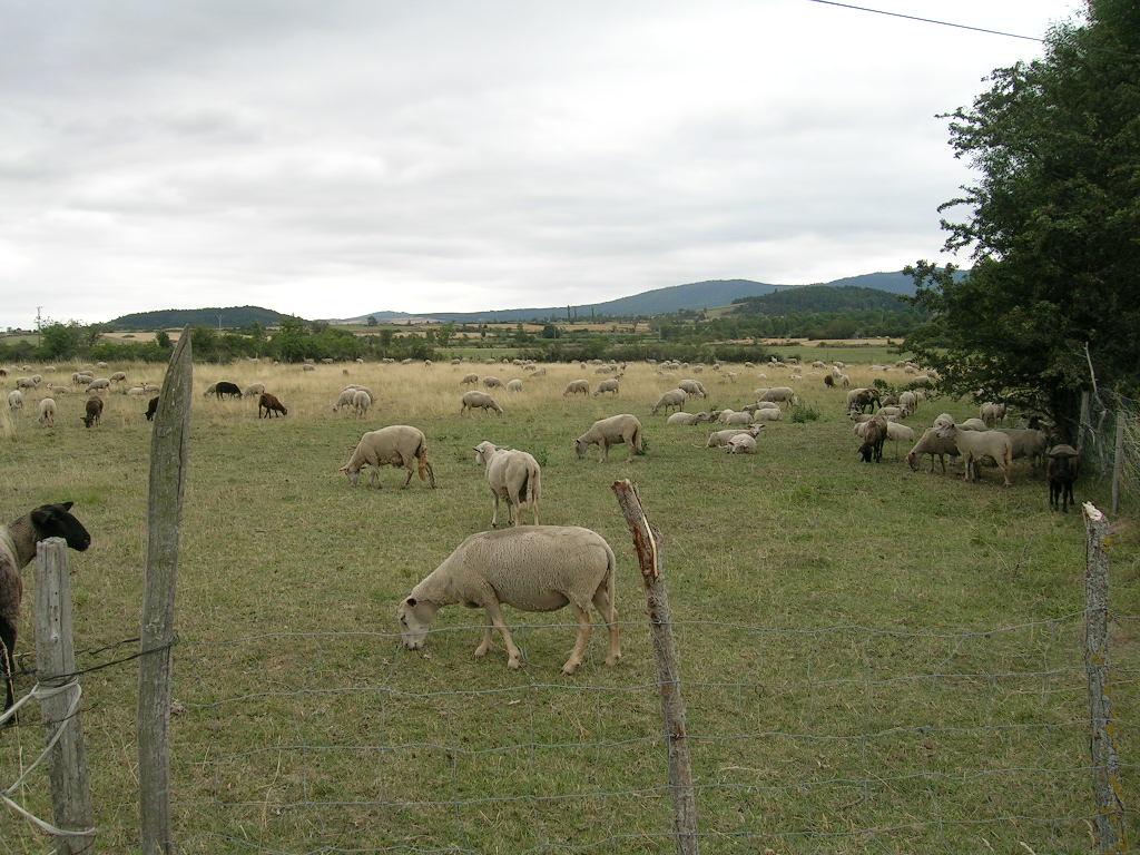 2005.0807.1043.20.Etape 07