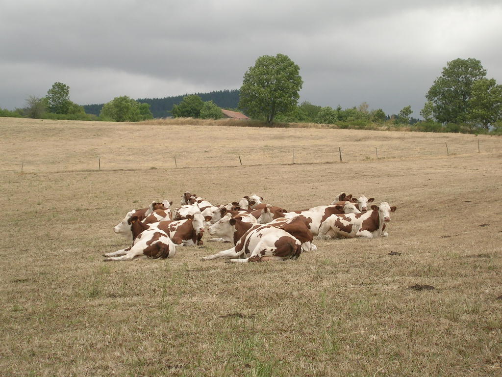 2005.0807.1346.12.Etape 07