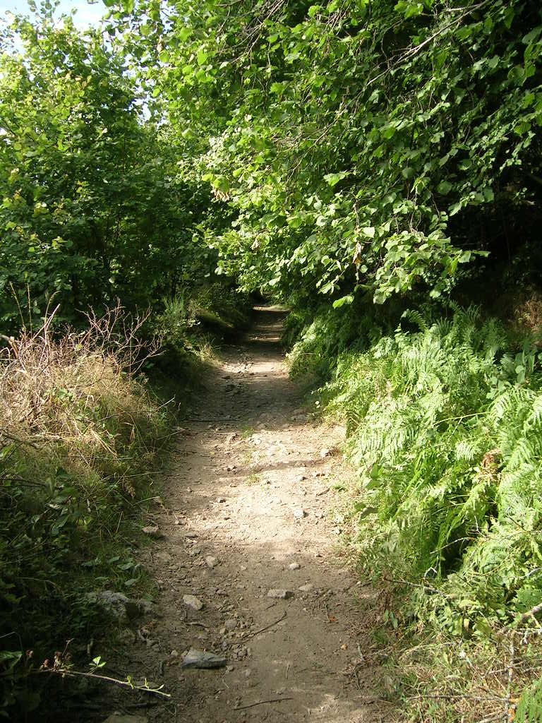 2005.0808.0842.00.Etape 08