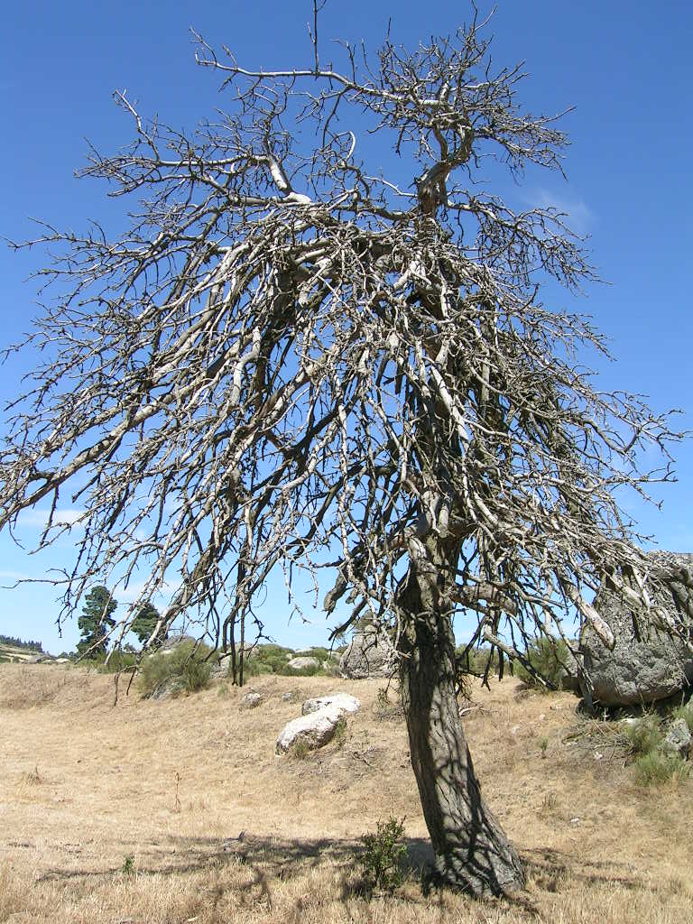 2005.0808.1440.26.Etape 08