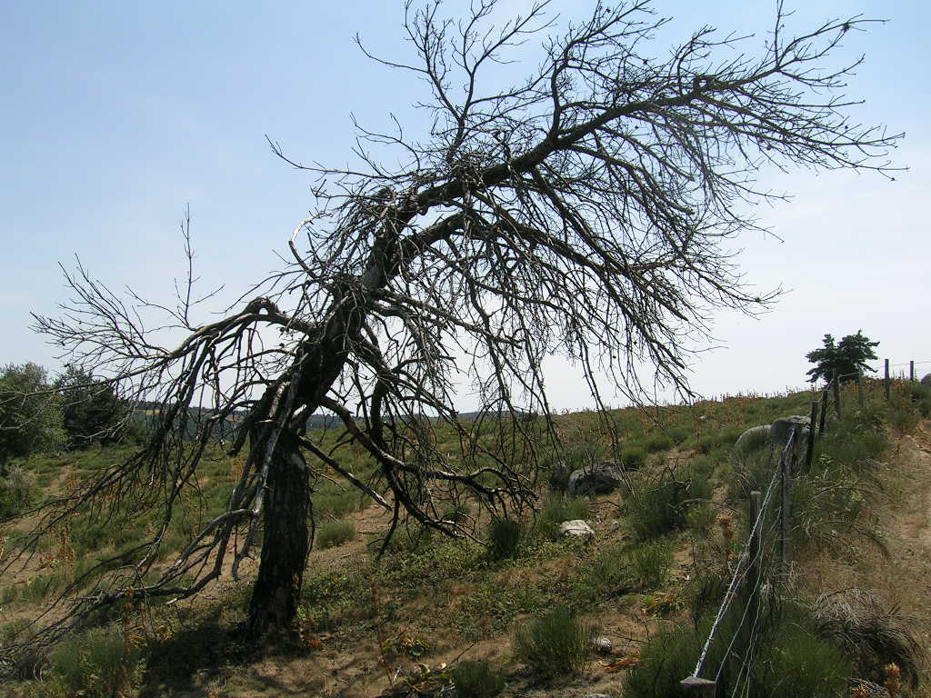 2005.0809.1351.34.Etape 09