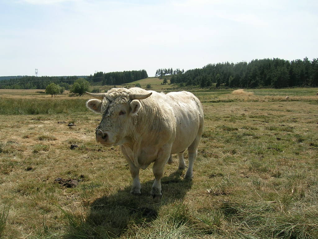 2005.0809.1412.36.Etape 09