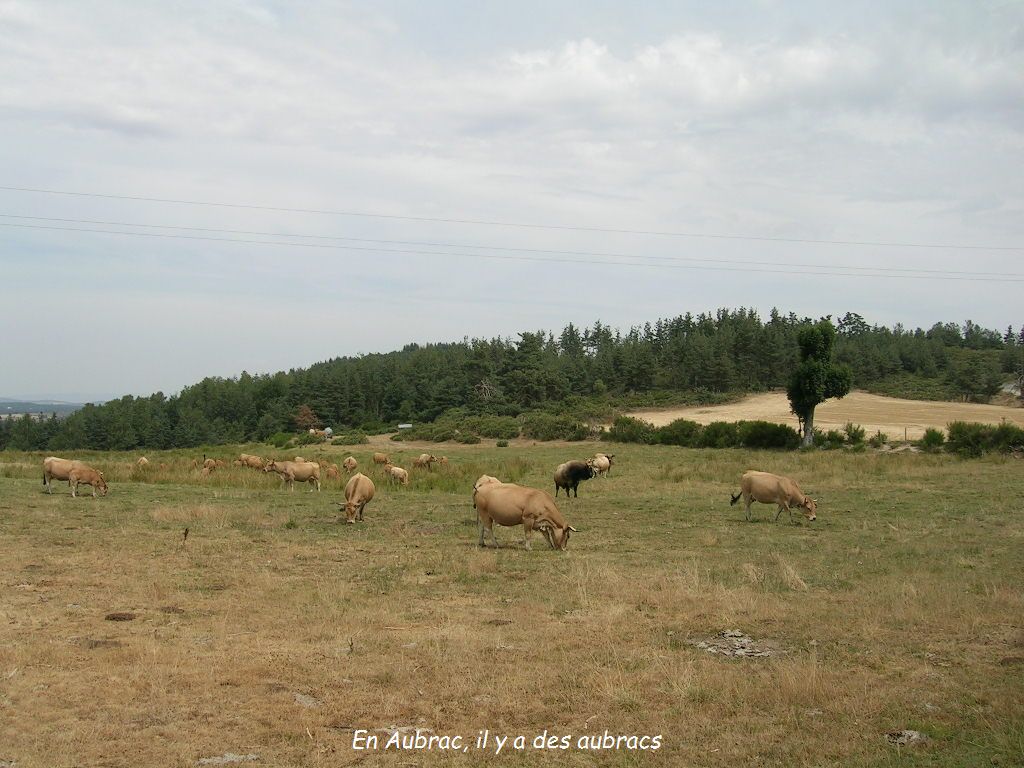 2005.0810.1209.26.Etape 10