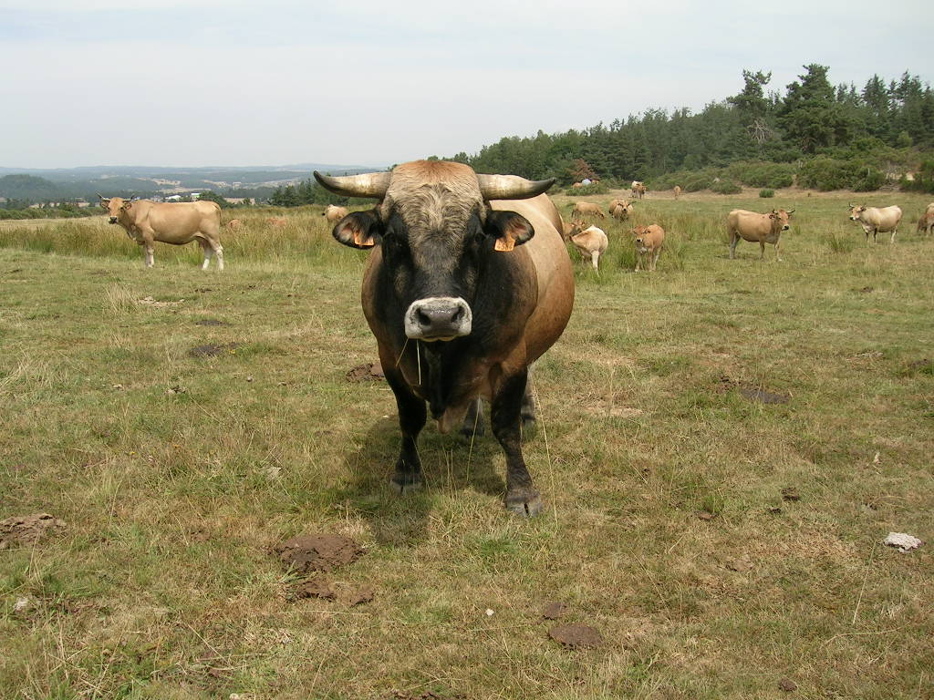 2005.0810.1211.20.Etape 10