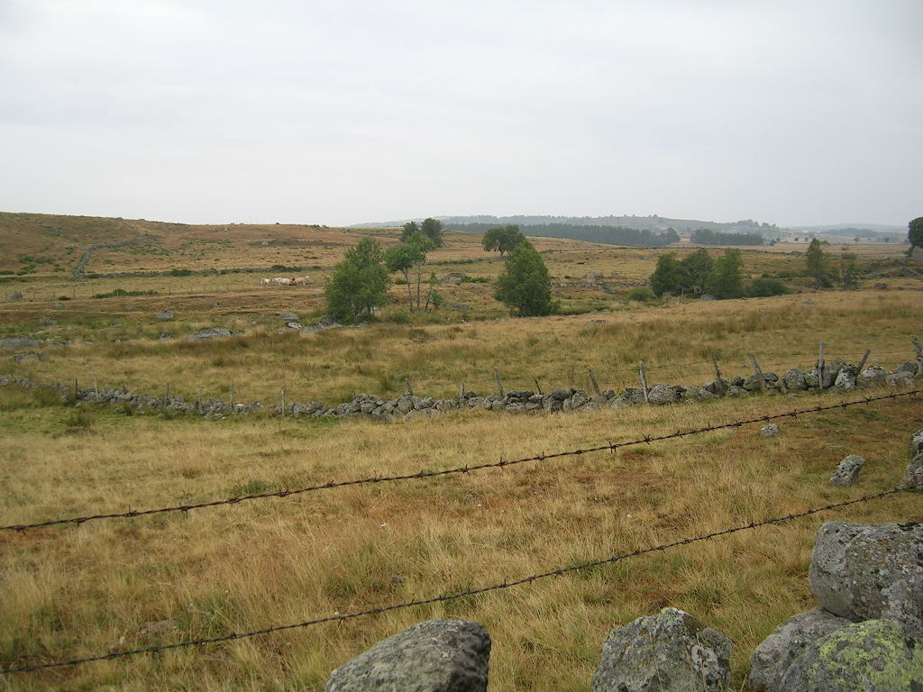 2005.0811.0739.38.Etape 11