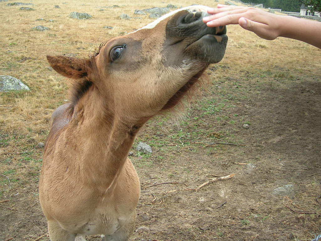 2005.0811.0811.14.Etape 11