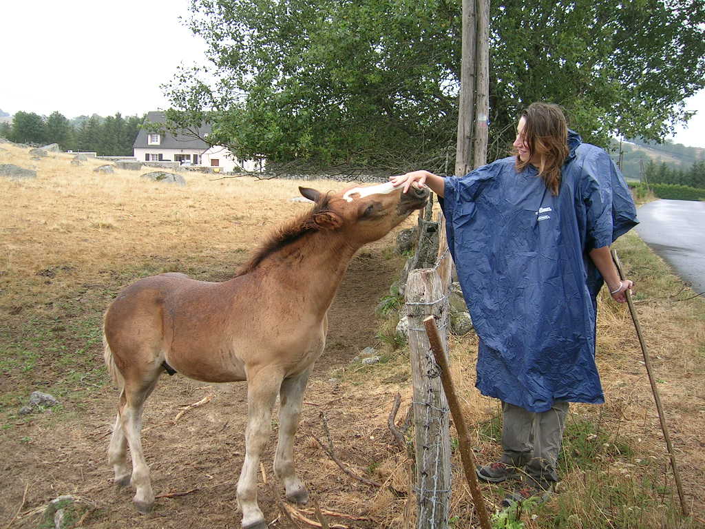 2005.0811.0811.38.Etape 11