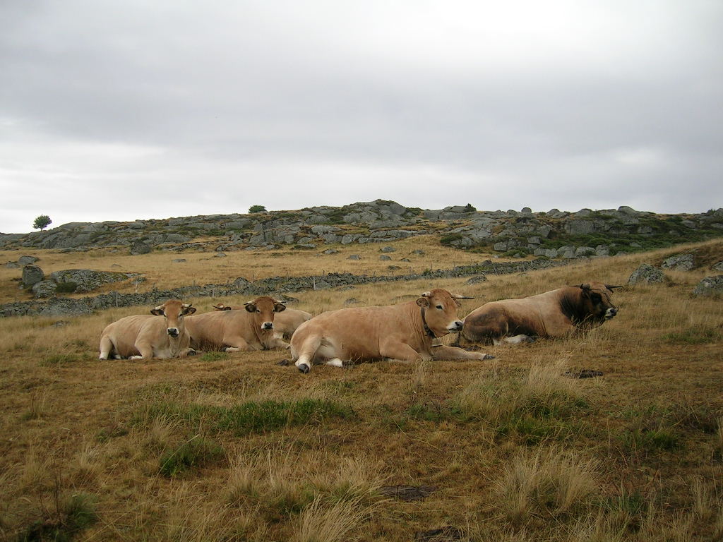 2005.0811.0943.08.Etape 11