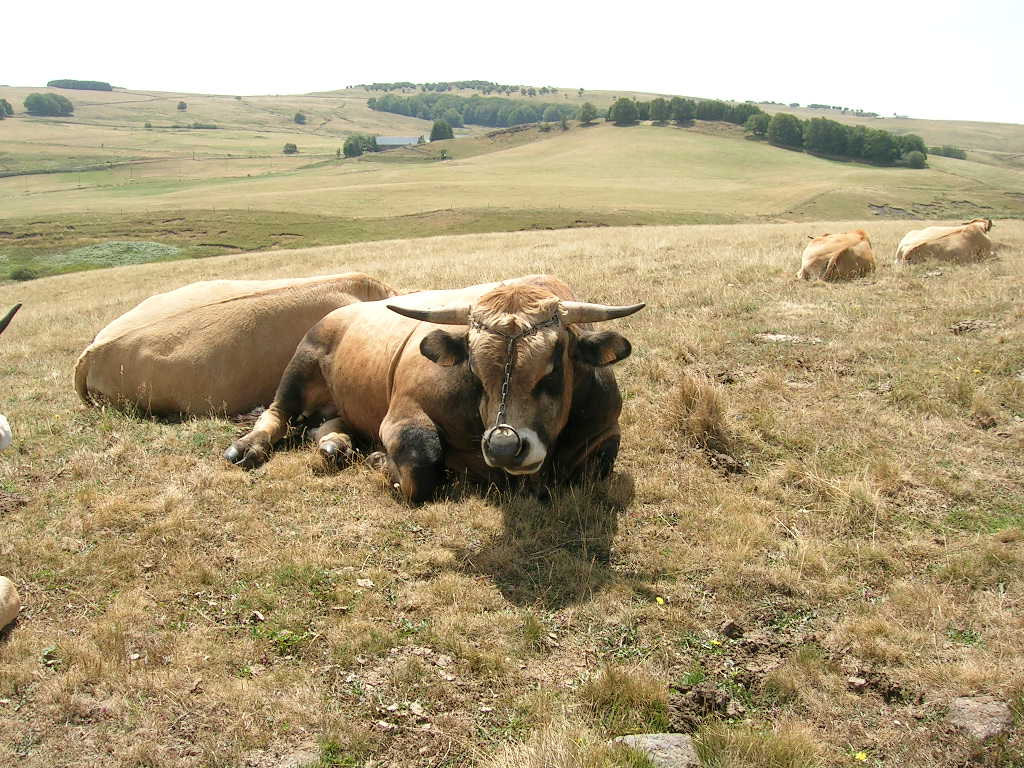 2005.0811.1302.18.Etape 11