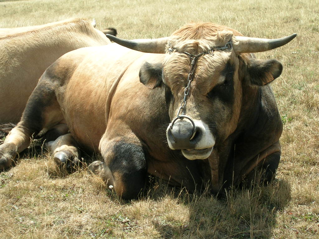 2005.0811.1303.08.Etape 11