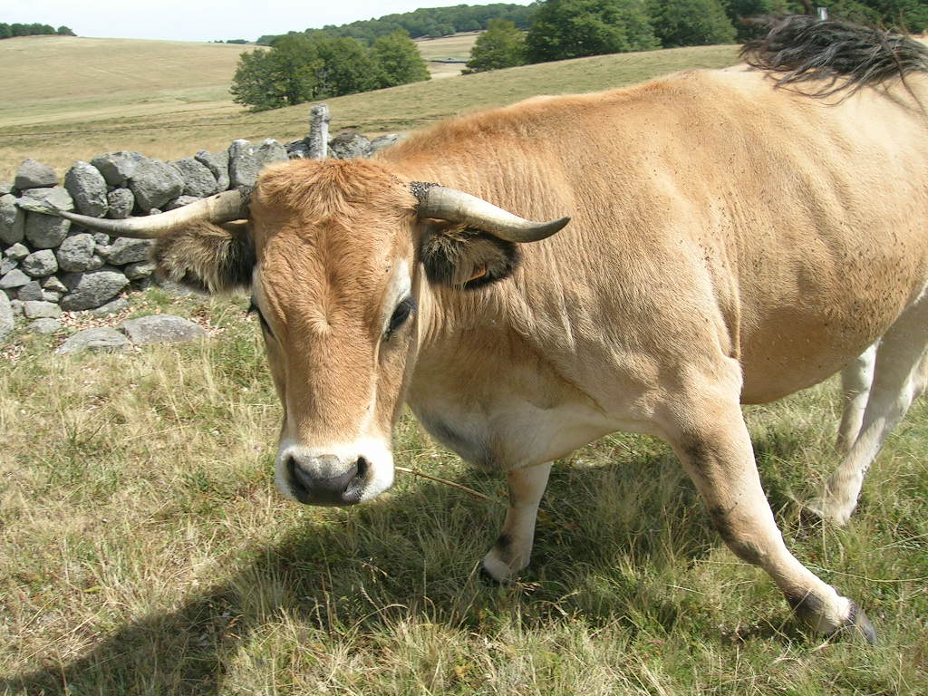 2005.0811.1326.38.Etape 11