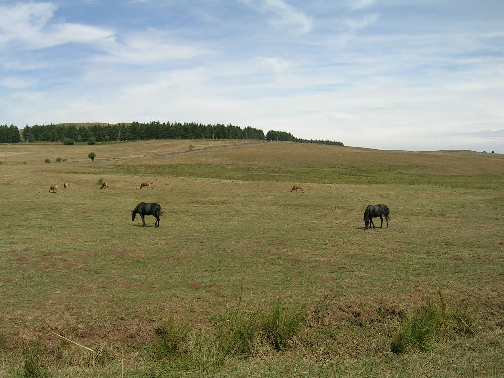 2005.0811.1407.28.Etape 11