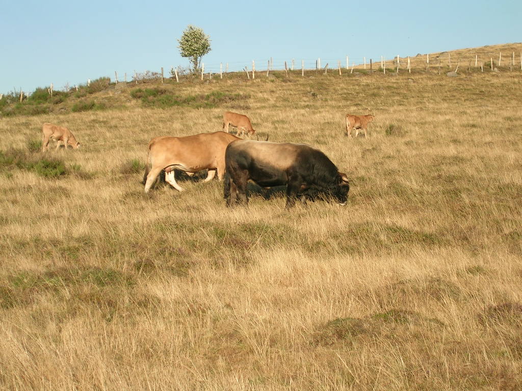 2005.0812.1303.06.Etape 12