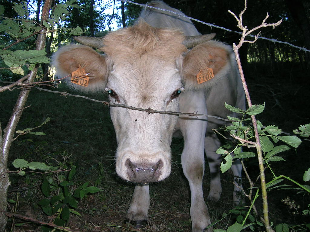 2005.0812.1335.26.Etape 12