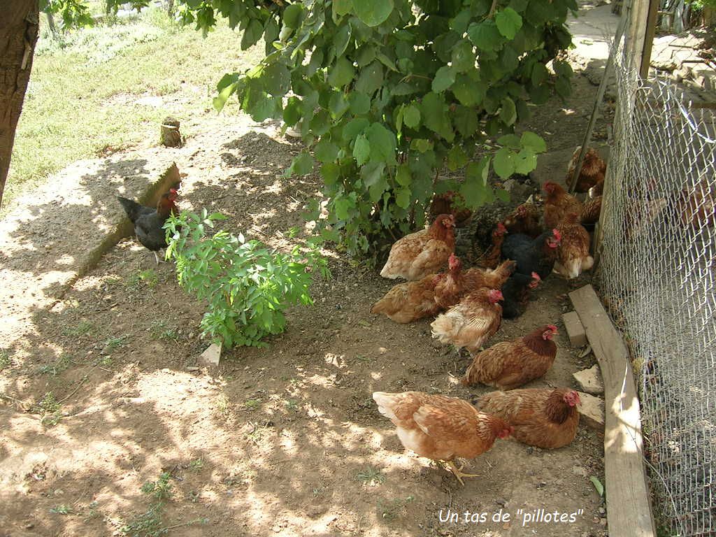 2005.0812.2215.10.Etape 12