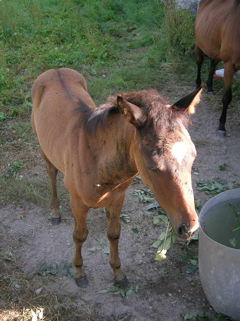 2005.0813.1031.26.Etape 13