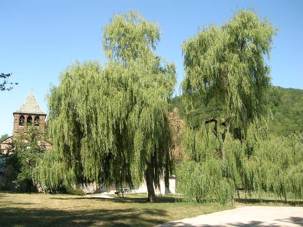 2005.0813.1120.56.Etape 13