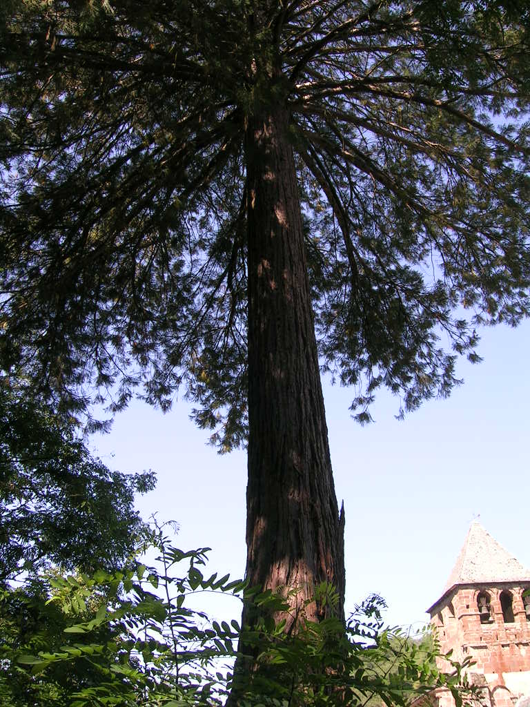 2005.0813.1121.44.Etape 13