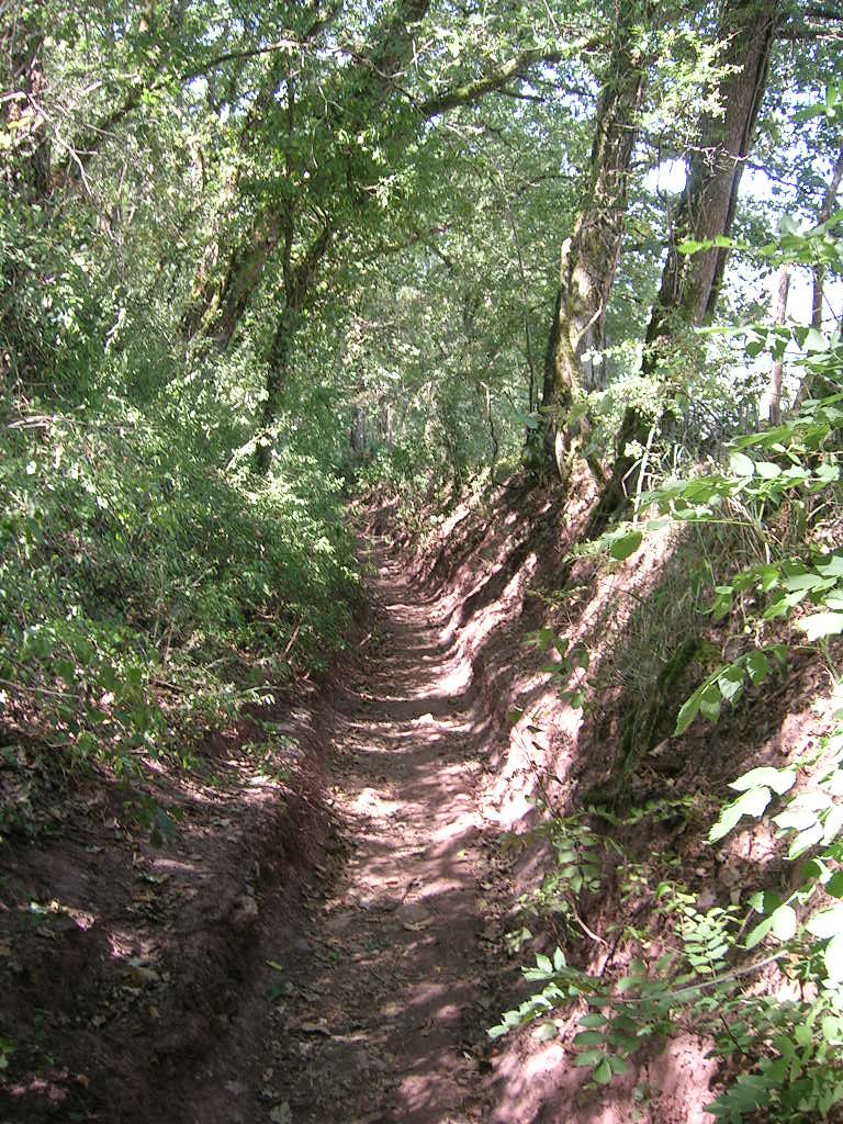 2005.0813.1215.07.Etape 13