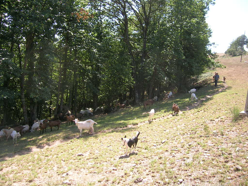 2005.0813.1542.24.Etape 13