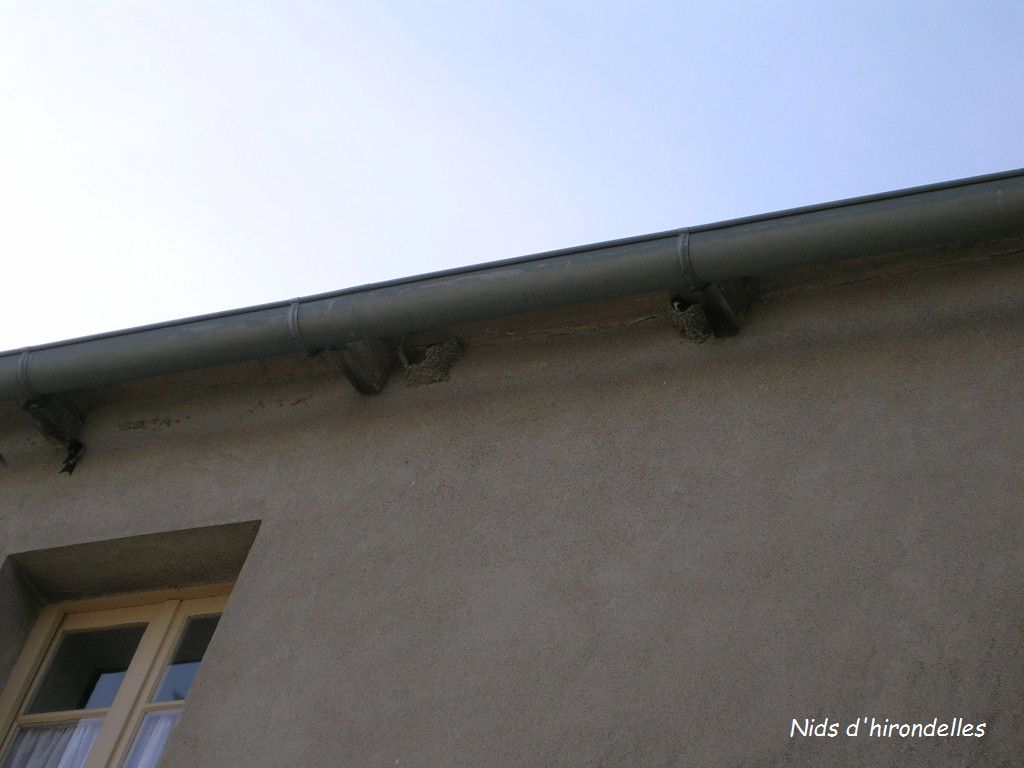 2005.0814.0916.41.Etape 14