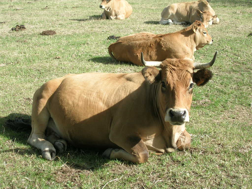 2005.0814.1020.44.Etape 14