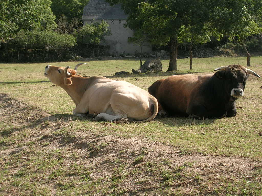 2005.0814.1021.01.Etape 14