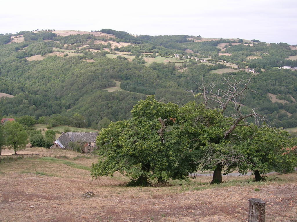 2005.0814.1118.01.Etape 14