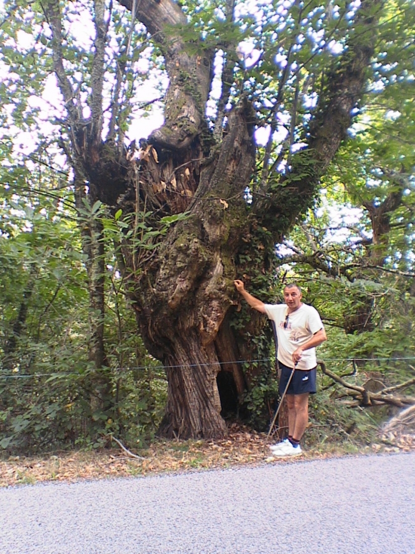 2005.0814.1128.56.Etape 14