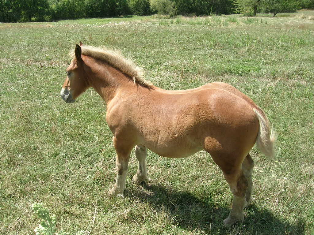 2005.0815.1430.52.Etape 15