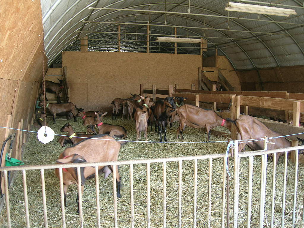 2005.0817.1502.00.Etape 17