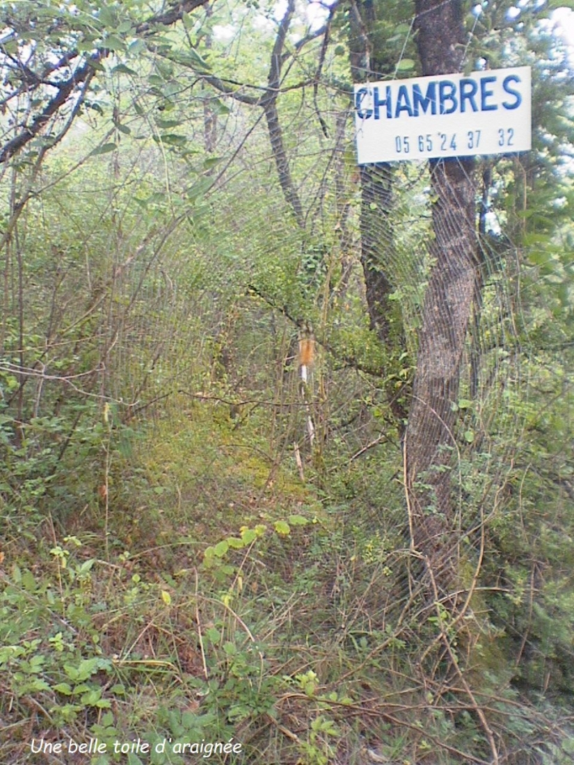 2005.0818.0933.00.Etape 18