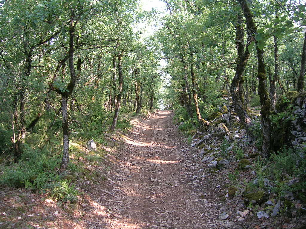 2005.0818.0946.13.Etape 18