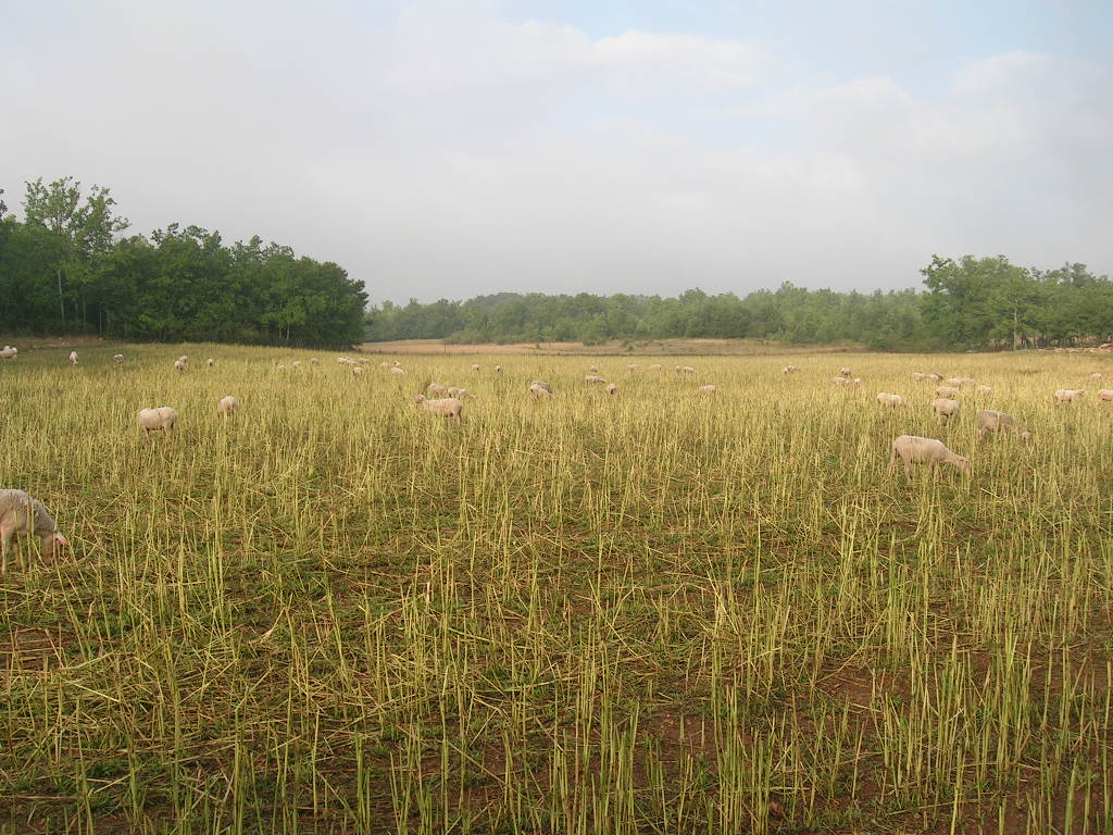 2005.0819.0849.45.Etape 19